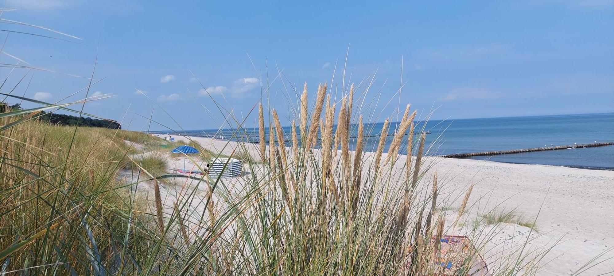 Residenz am Strand Wohnung 1-21 Ostseeheilbad Ostseeheilbad Zingst Exterior foto